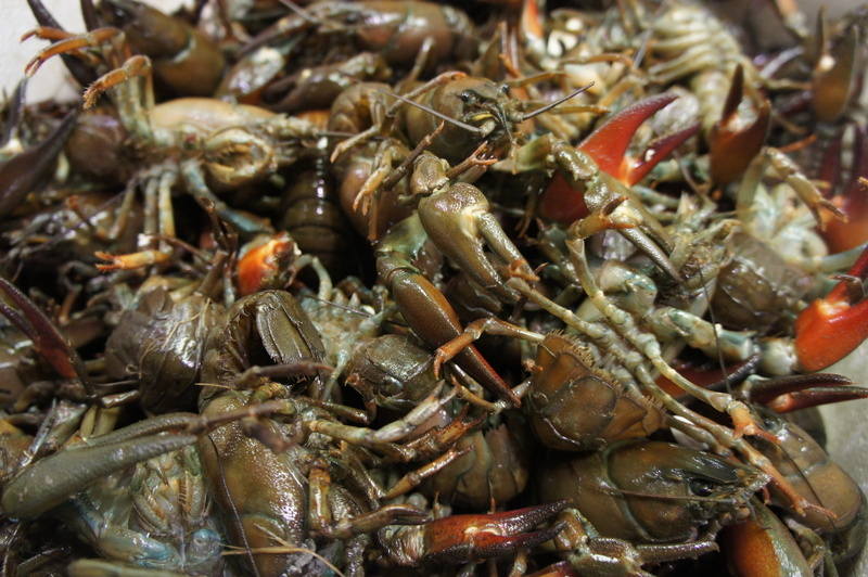 Billingsgate-Market