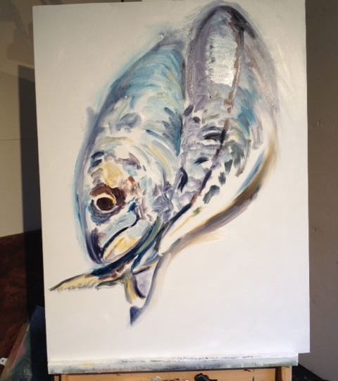More-Mackerel