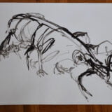 Ink Gesture Drawing